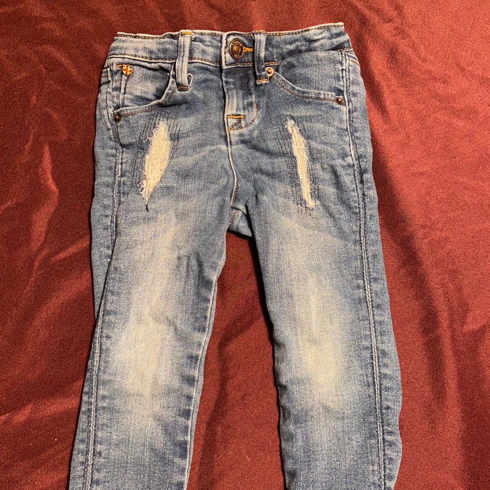 Distressed Hudson Skinny Jeans